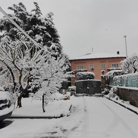 Al Vecchio Olivo Bed & Breakfast Frascati Dış mekan fotoğraf
