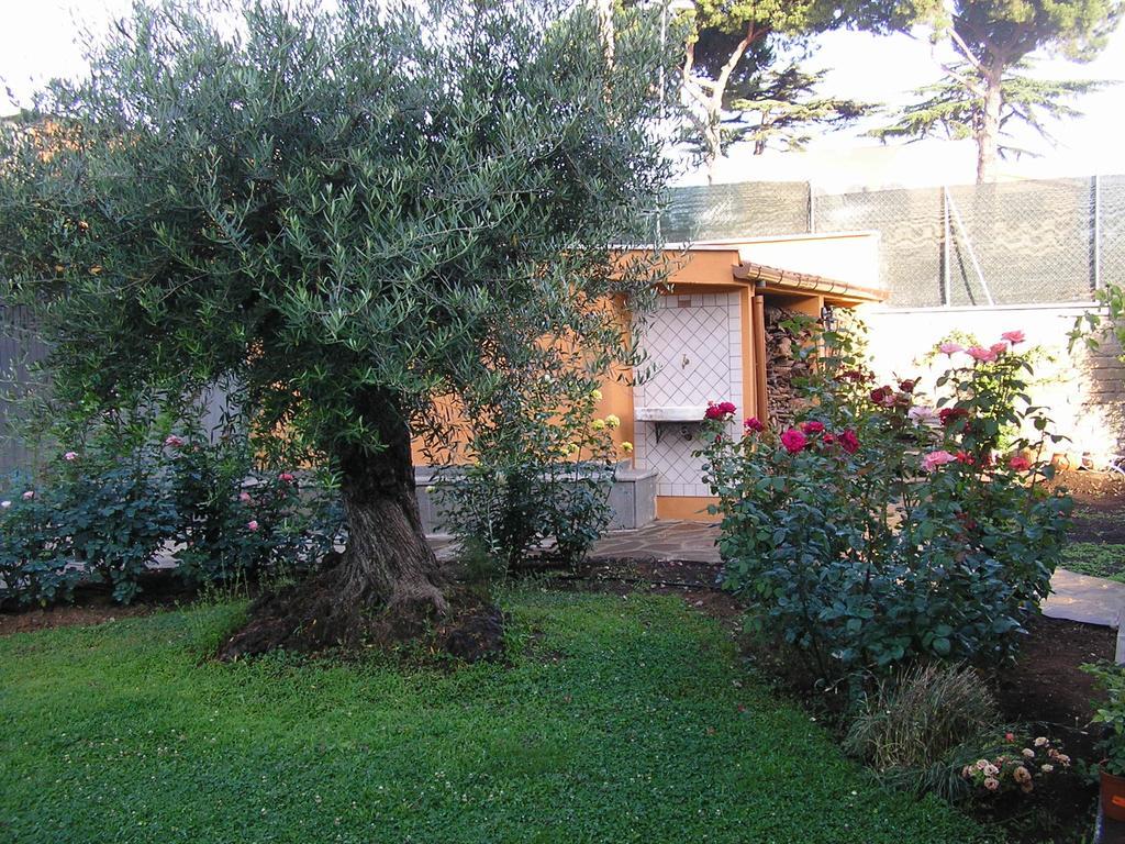 Al Vecchio Olivo Bed & Breakfast Frascati Dış mekan fotoğraf