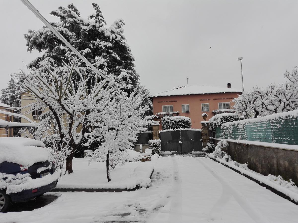 Al Vecchio Olivo Bed & Breakfast Frascati Dış mekan fotoğraf