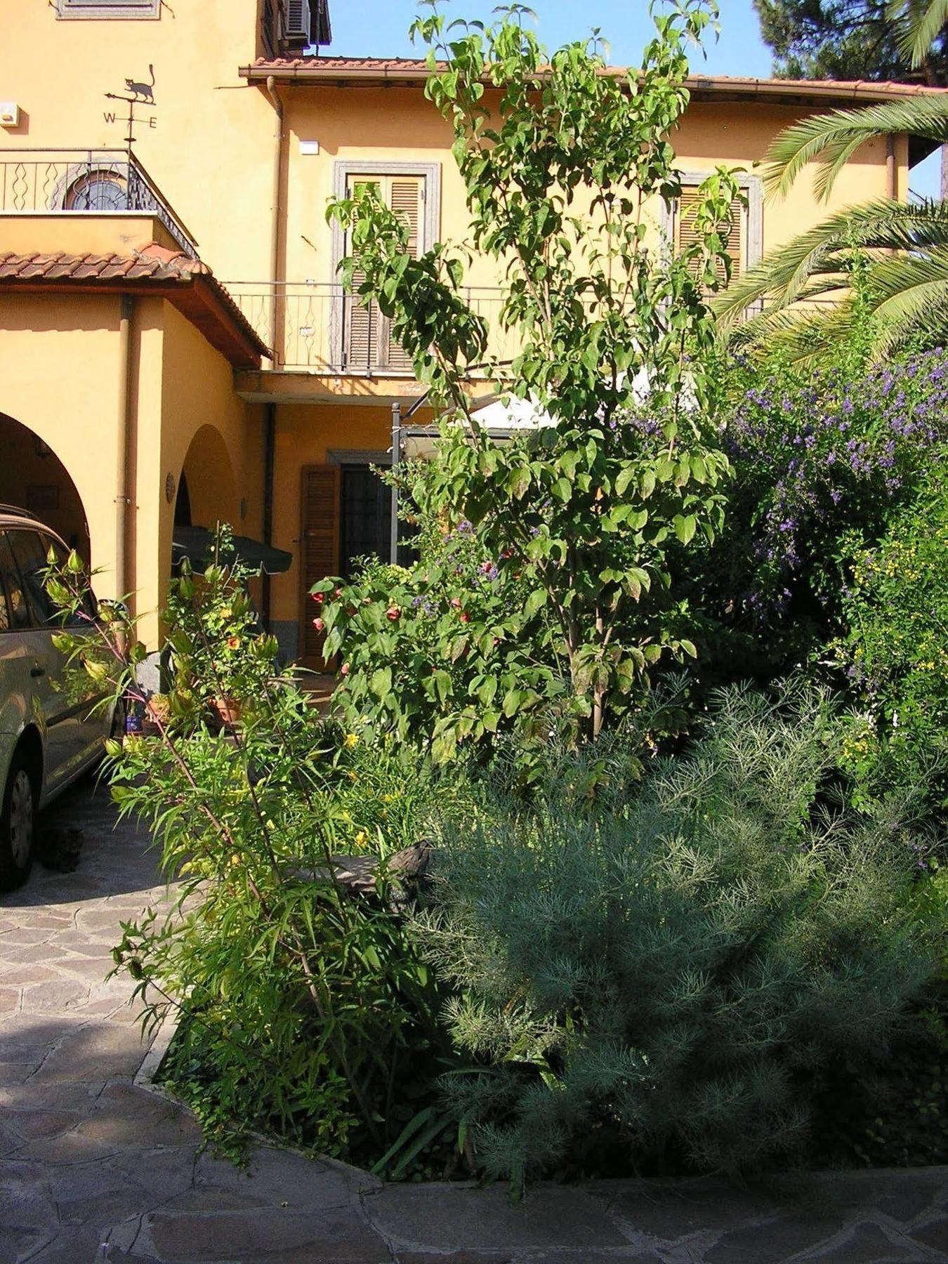 Al Vecchio Olivo Bed & Breakfast Frascati Dış mekan fotoğraf