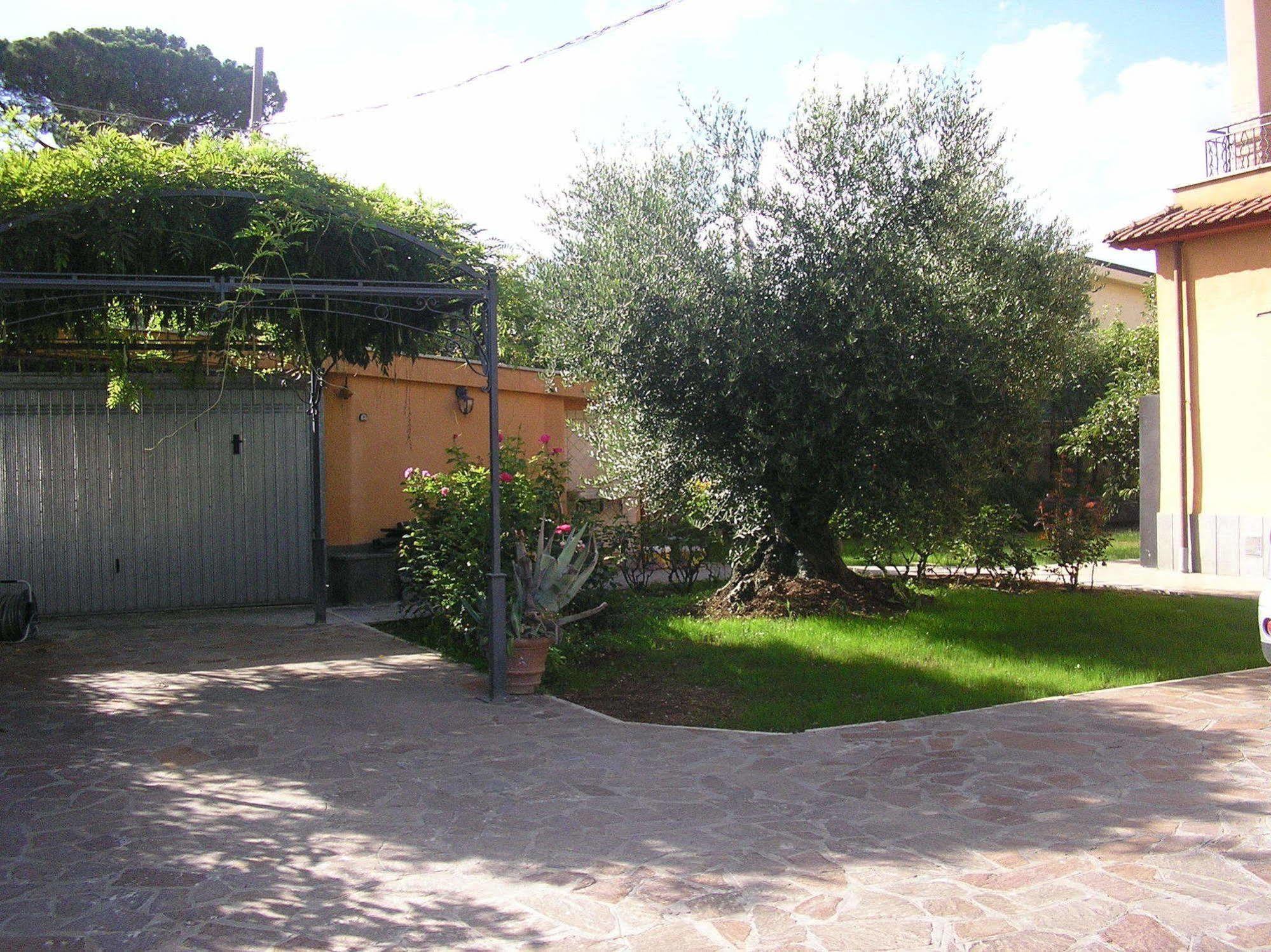 Al Vecchio Olivo Bed & Breakfast Frascati Dış mekan fotoğraf